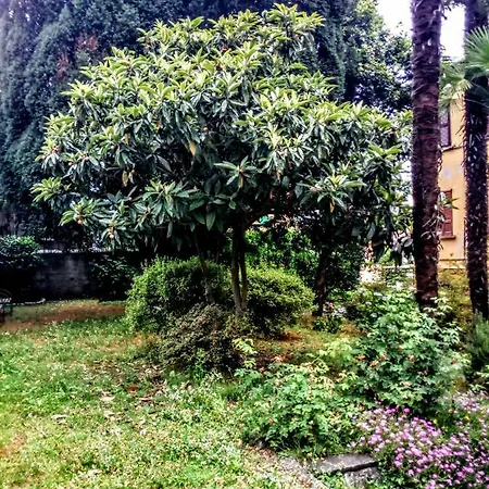 Taglioni Apartment